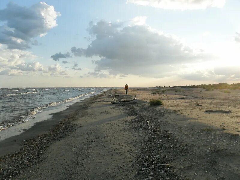 витязево грязное море 2021. море в августе отзывы. море в августе отзывы. витязево море цветет. август море картинки красивые.