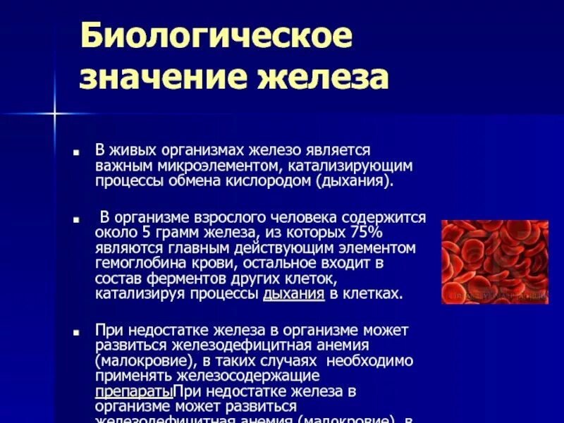 Железо в роли элемента. Биологическая роль железа. Железо биологическое значение. Функции железа в организме человека. Значимость железа в организме человека.