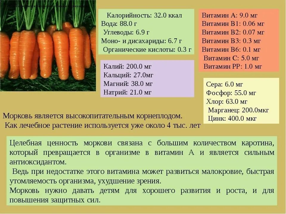 Сколько весит морковка. Витамин а в моркови на 100г. Пищевая ценность моркови на 100 грамм. Морковь витамины содержит. Полезные вещества в моркови.