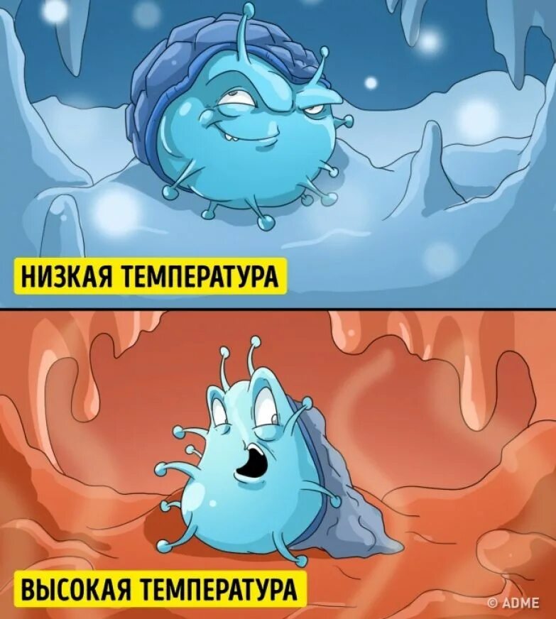 заболеваю от холода. женщина кашляет. правда ли что можно заболеть от холода. можно ли заболеть от холода. зимний мороз.