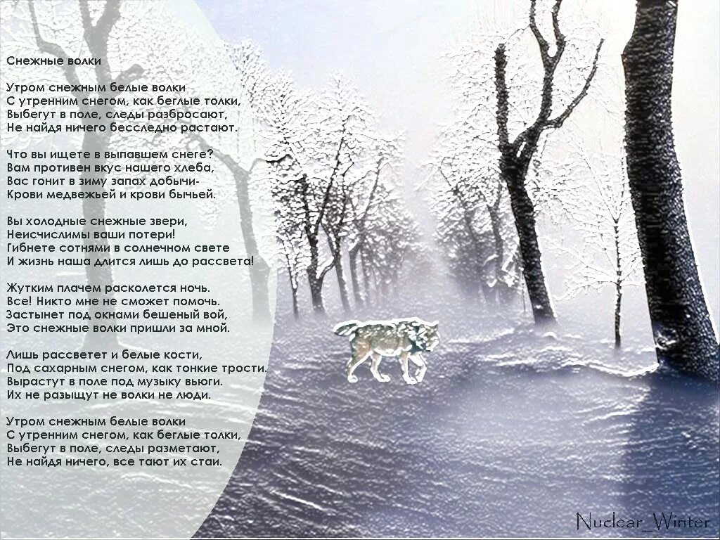 Снежные стихи. Стих про волка. Стих про зиму про Волков. Собака и снег стихи. Текст волк и собака