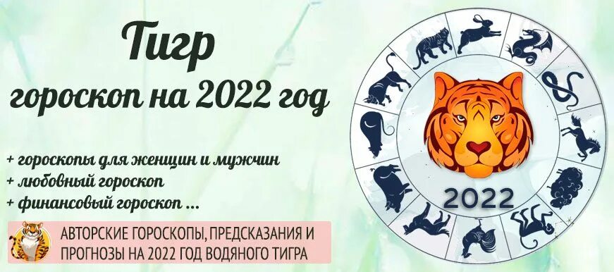 Гороскоп тигра на 2022. Год тигра гороскоп на 2022. Тигр знак зодиака. Гороскоп на 2022 год.