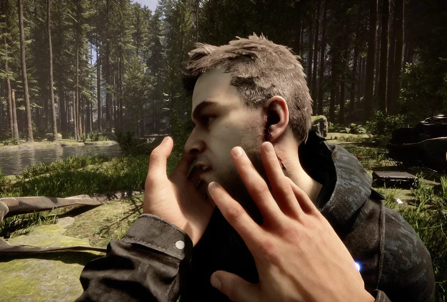 Релиз sons of the. Sons of the forest игра.