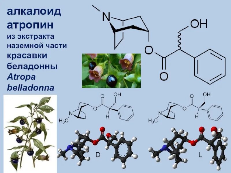 Растительный яд содержащий
