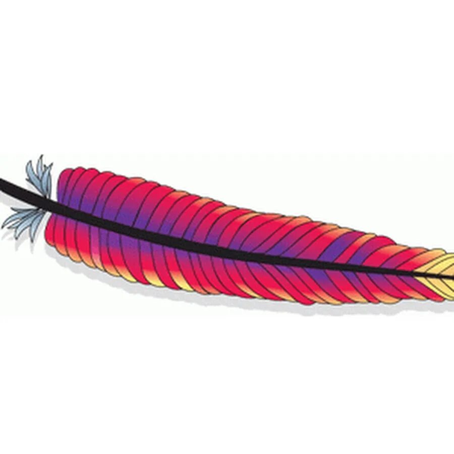 Apache cgi. Apache cgi