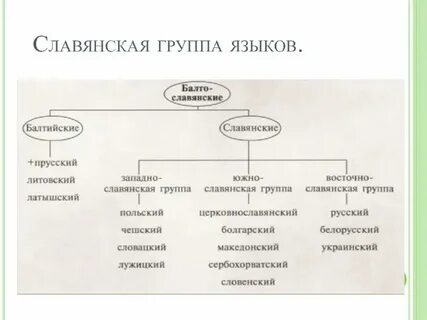 Старославянский язык к какой группе языков относится