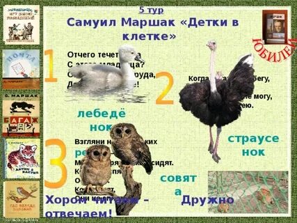 Маршак детка клетка
