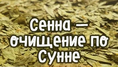 Очищение кораном