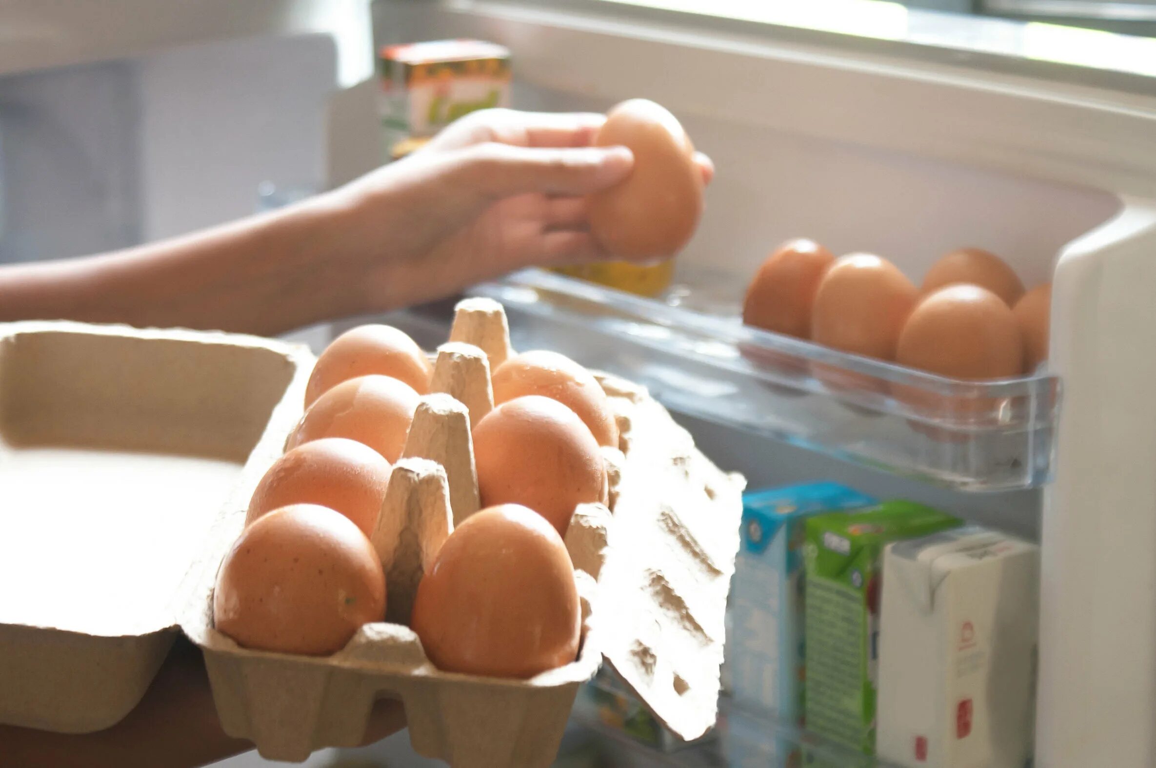 Яйца в холодильнике. Хранение яиц в холодильнике. Яйца на полке холодильника. Хранение яиц в холодильнике на дверце. Можно держать яйца в холодильнике