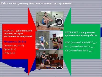 Здоровье и физическая работоспособность человека