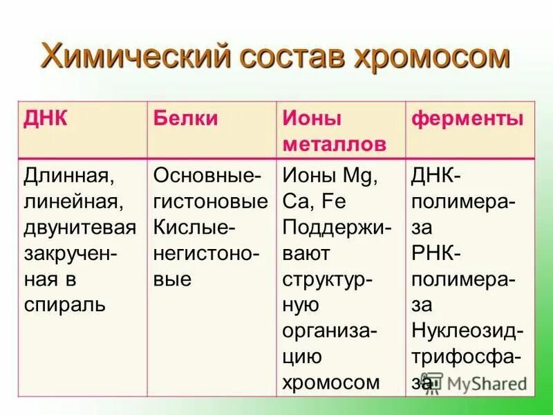 Хромосомы хроматин строение и функции. Органические вещества, входящие в состав хромосом. Какой химический состав хромосомы. Строение и химический состав хромосом. Вещества входящие в состав хромосом.