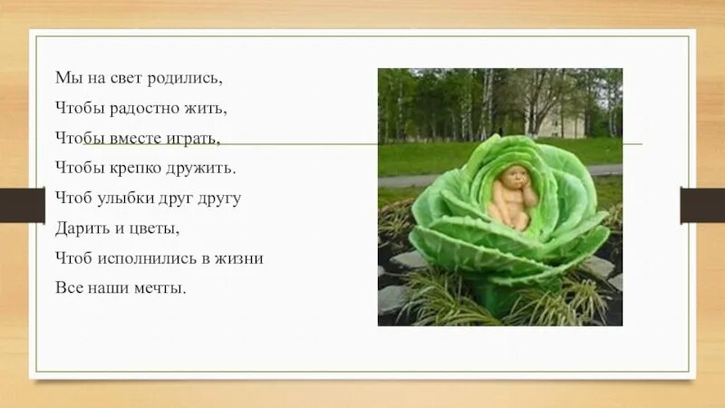 Я родился чтобы показать как надо песня. Мы на свет родились чтобы радостно жить. Мы на свет родились. Большой хоровод мы на свет родились чтобы радостно жить текст. Песня мы на свет родились.