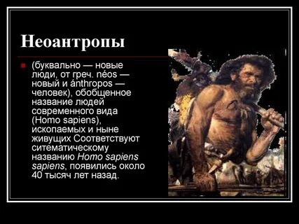 Особенности строения и образ жизни неоантропы