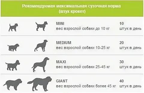 Сколько еды нужно собаке по весу