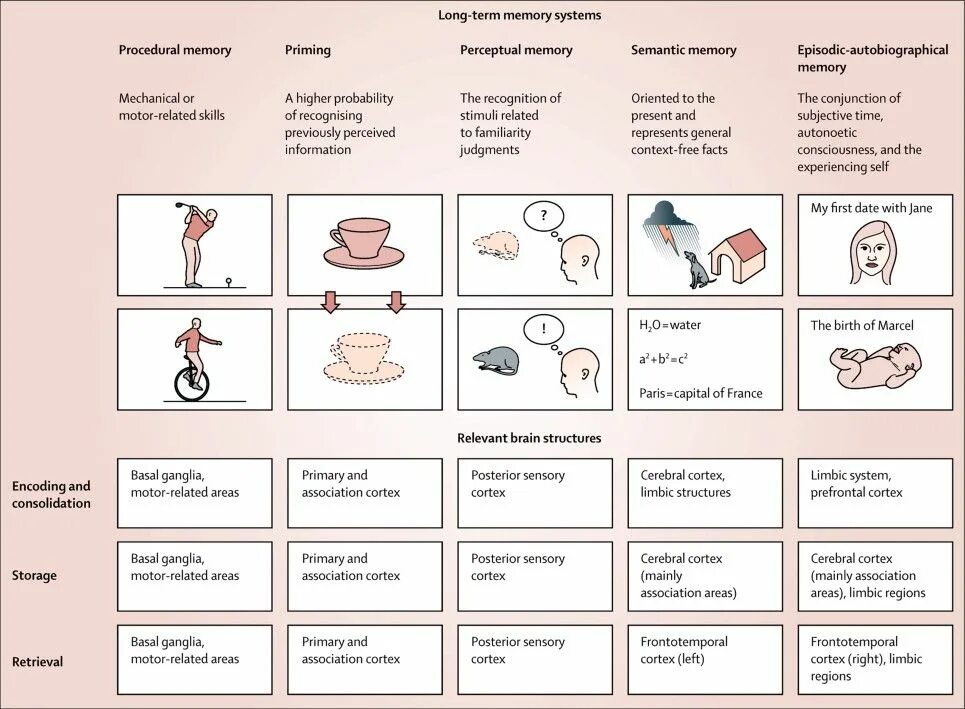 Examples of memory. What type of memory is priming?.