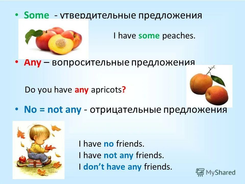 There are some apples left. Some any в английском языке. Правило по английскому some any. Some any правило исчисляемые и неисчисляемые. Some и any в английском языке правило 3 класс.