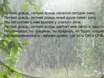 Дурманящие пахла омытая дождем молодая трава