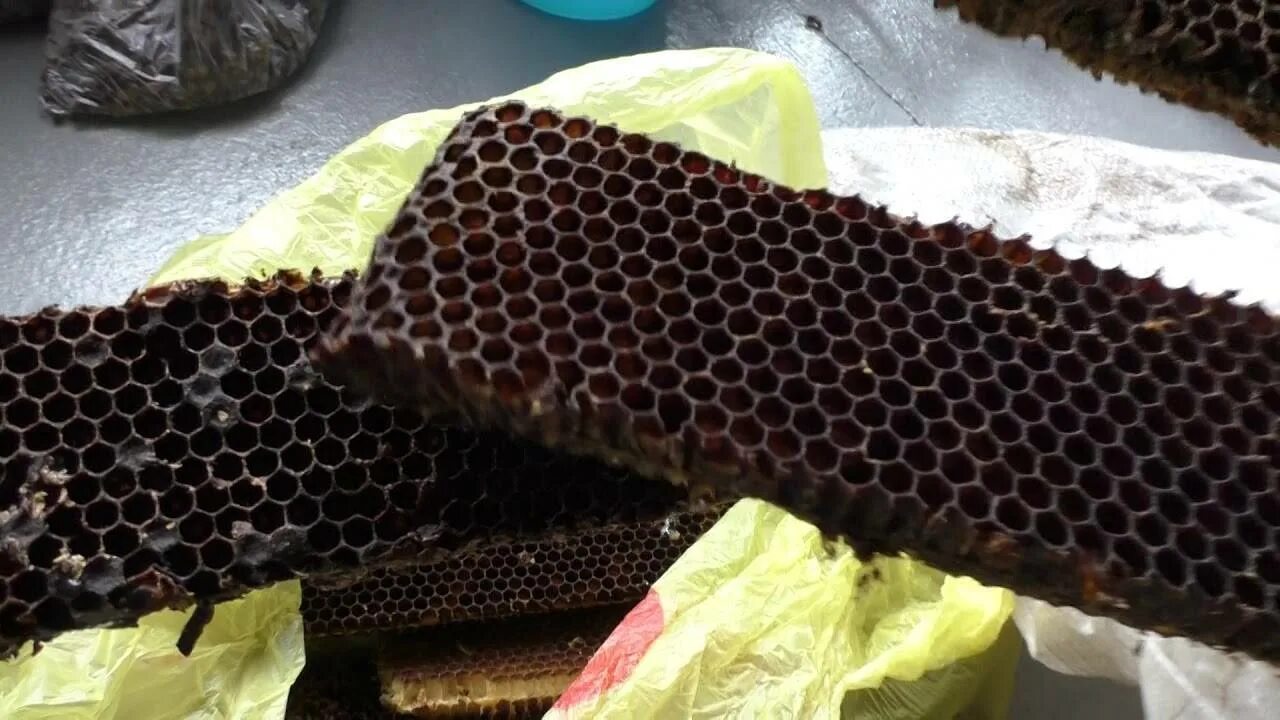Достать пергу из сотов