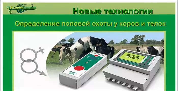 Управления стадом