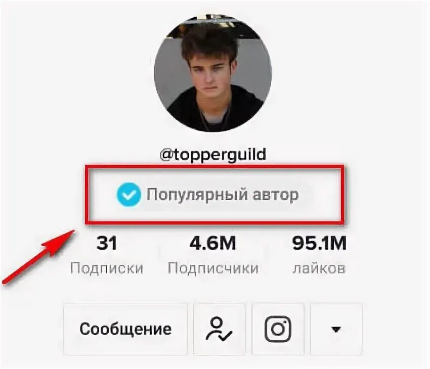 Подать заявку на галочку в лайке 2025. Как получить галочку в тик токе. люди с галочкой в тик токе. как получить галочку в лайке. галочка тик ток.