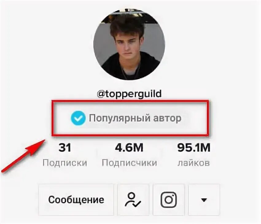 За сколько подписчиков дают галочку. Как получить галочку в тик токе. Как получить галуяку в лайке. Люди с галочкой в тик токе. Тик ток верификация.