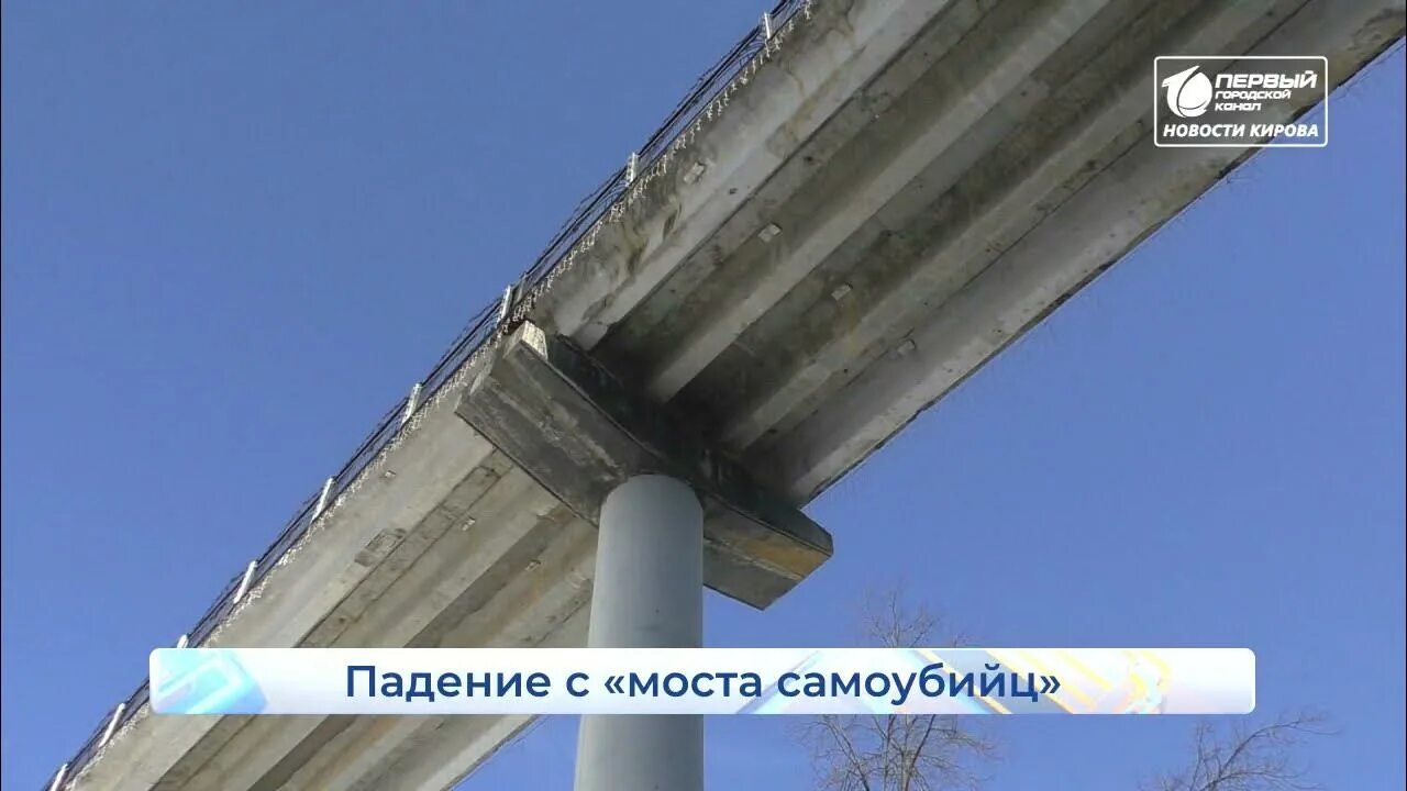 Вампирша гуманистка ищет отчаянного добровольца 2025