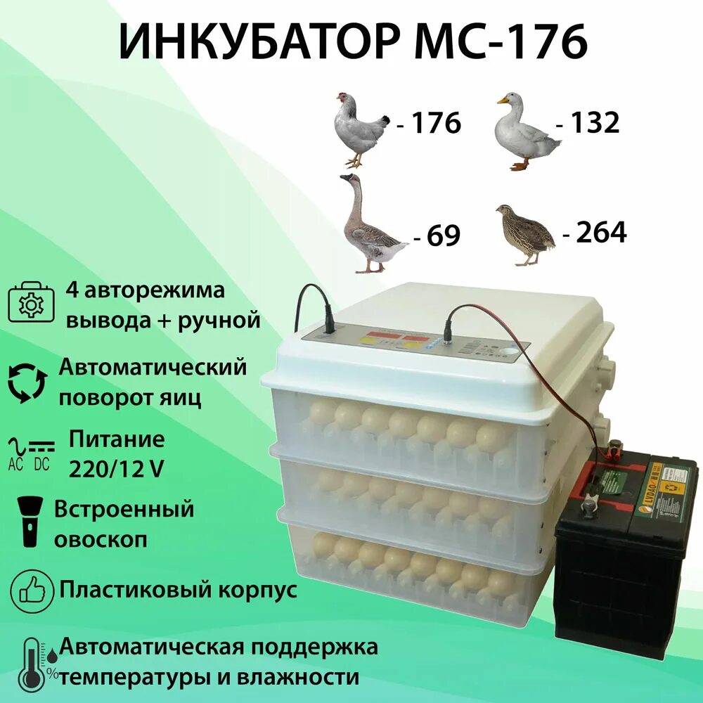 Как работает автоматический инкубатор. Инкубатор мс 120. инкубаторы mc 64. инкубатор промышленный на 176 яиц eco-176. инкубатор блиц норма ц8.