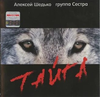 Песня тайга группа