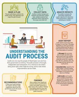 SAO website audit process infographic.