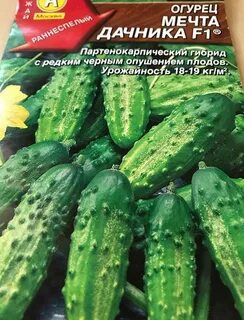 Огурцы сорта для открытого грунта краснодарского края