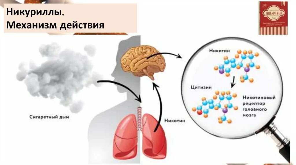 Никурилы отзывы