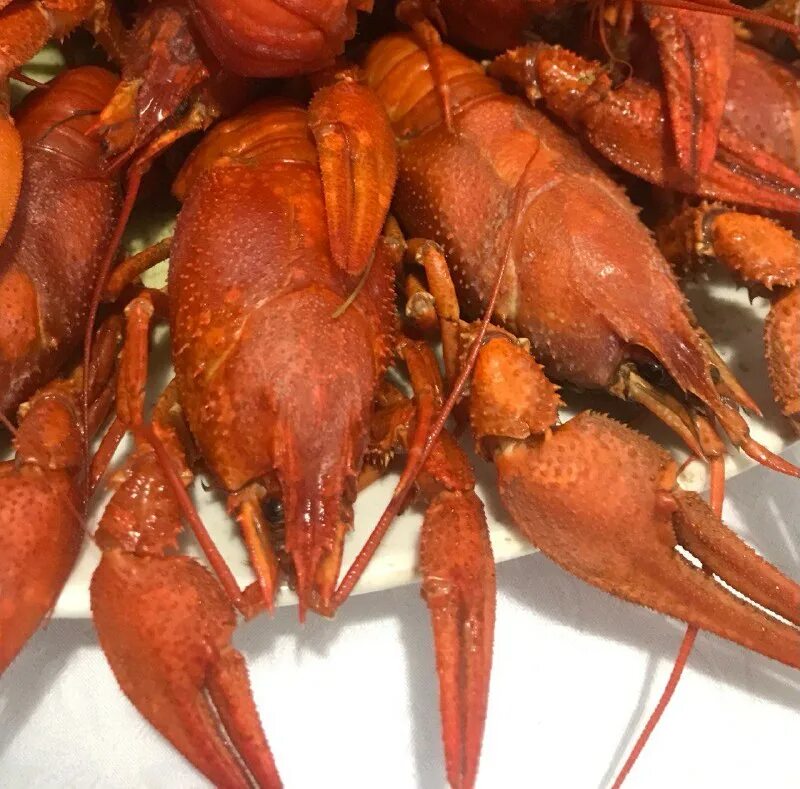 волжские раки. волжские раки. волжские раки. анчоусы mikele в масле 157г. раковая москва.