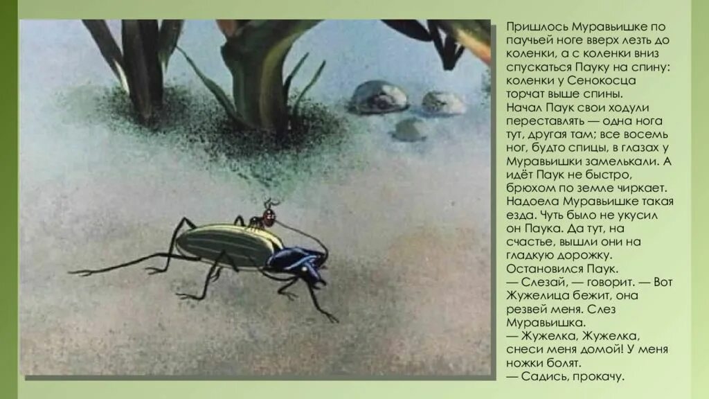 Путешествие муравья 1983. Путешествие муравья Бианки. Путешествие муравьишки Бианки.