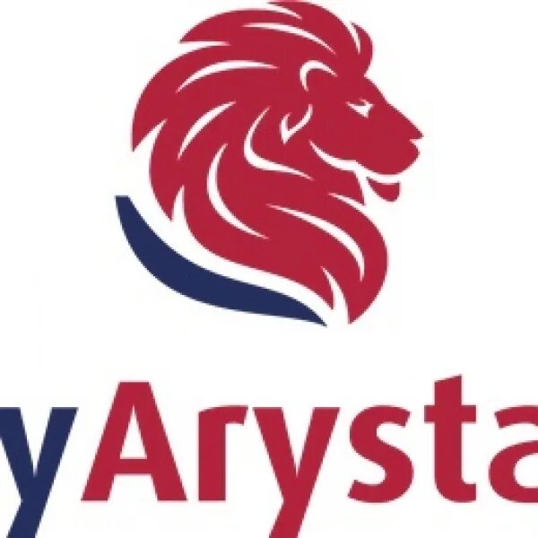 Авиабилеты арыстан купить. Flyarystan лого. Fly Arystan логотип. Flyarystan авиакомпания. Arystan авиакомпания.