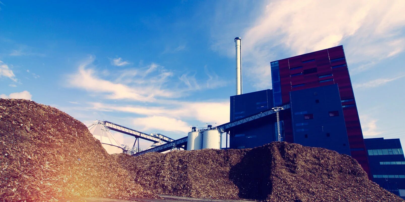 Виды биомассы. Биомассовая энергия. Источники биомассы. Биомасса энергетика. Биомасса источник энергии.