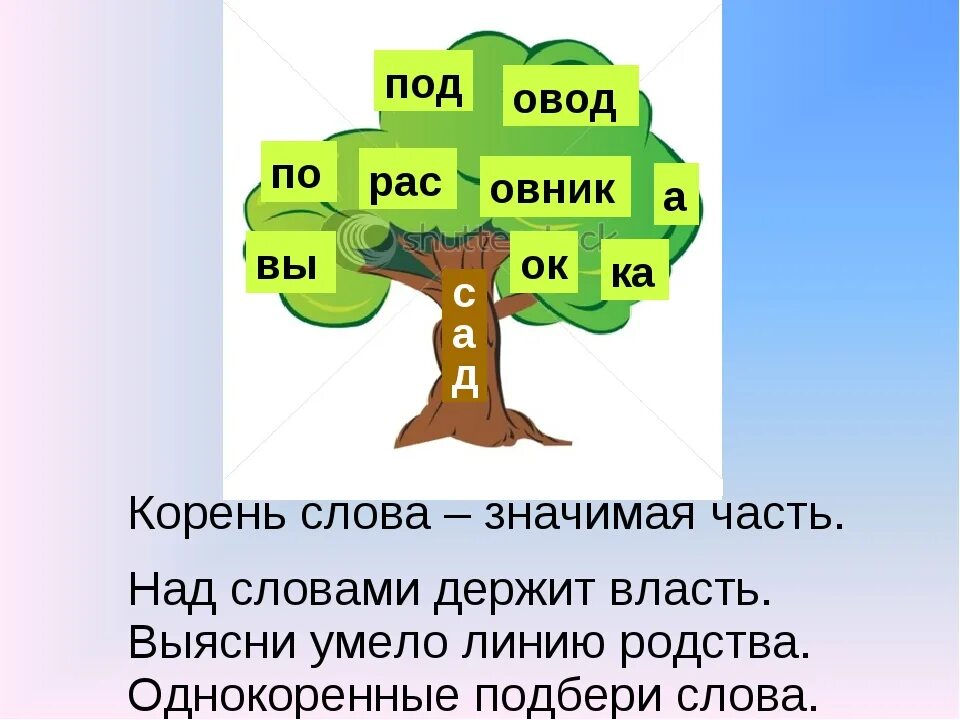 Украшает корень слова. Словарь однокоренных слов. Дерево родственных слов. Задания по русскому языку корень. Задания по русскому на тему корень.