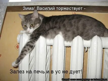 В ус не дула что значит