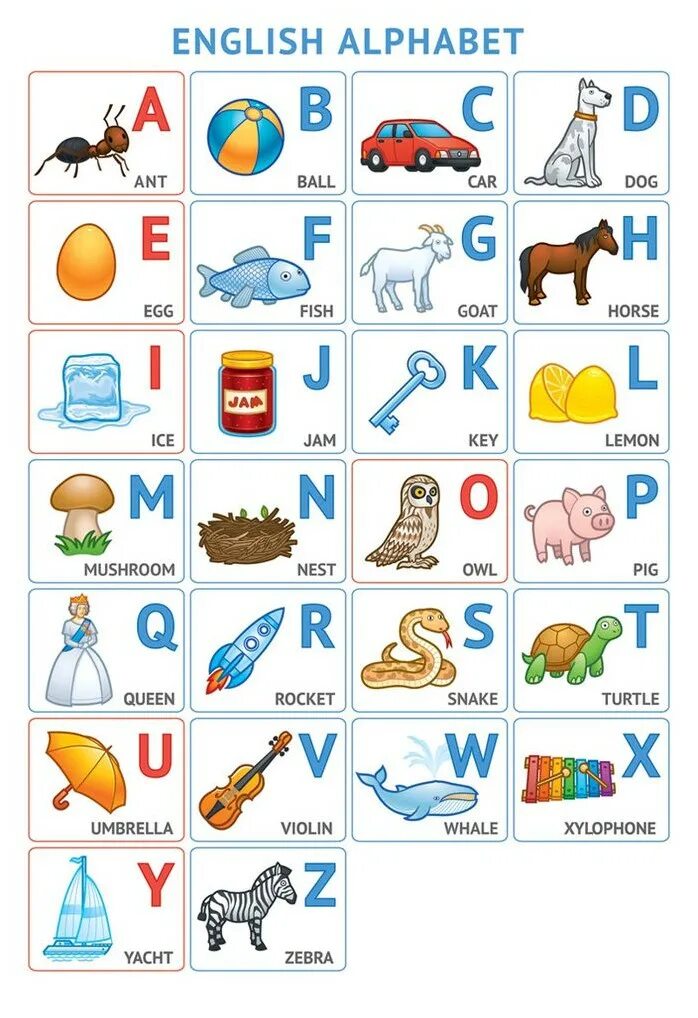 Английский язык повторять буквы. Английский алфавит для детей. Английский алфавит в картинках. Балийский алфавит. Английский алфавит вкартинка.