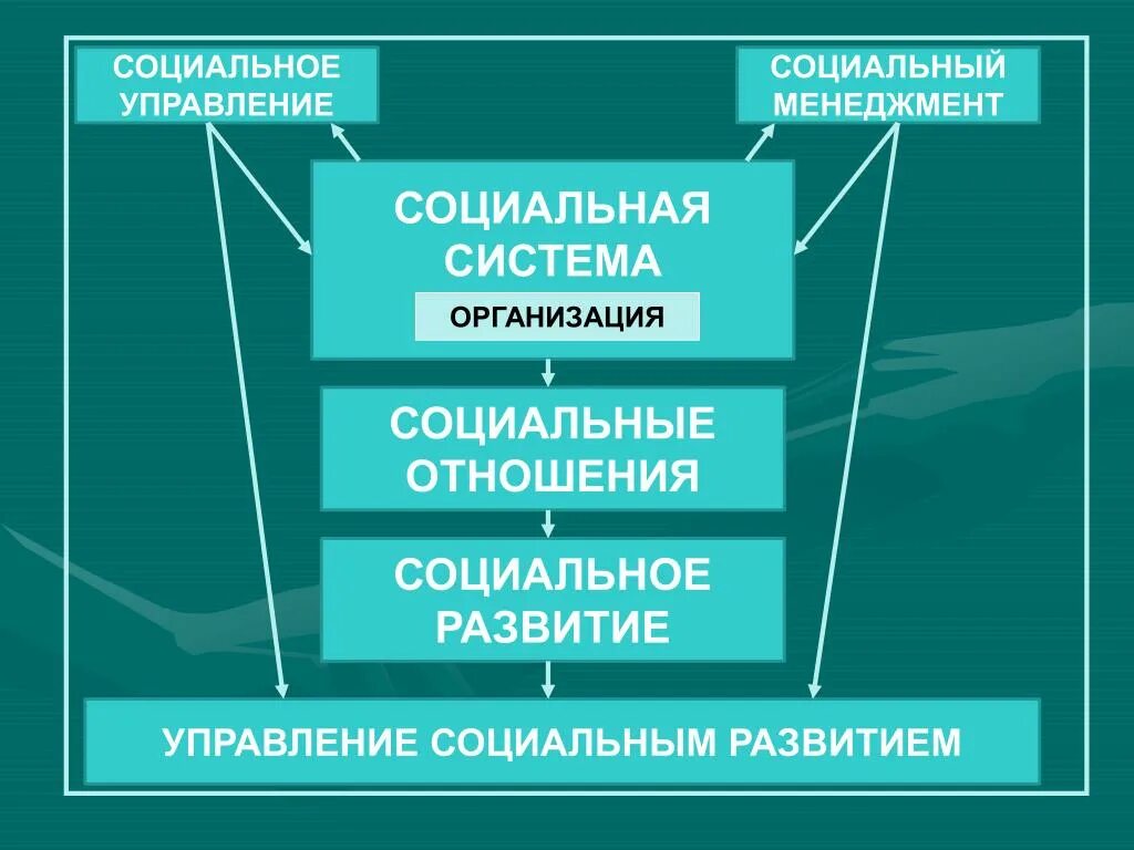 Суть управления социальным развитием. Управление социальным развитием. Социальный менеджмент. Социальный менеджмент простыми словами. Социальный менеджмент где учиться.