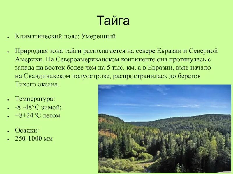 Природные особенности евразии. Природные зоны Евразии Тайга. Климатические условия тайги. Тайга климатические полюс. Тайга климатический пояс.