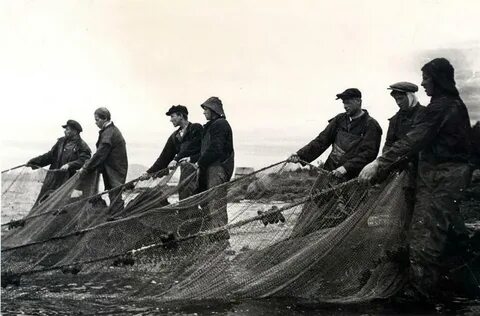 Море куда ломоносов выходил на рыбный промысел
