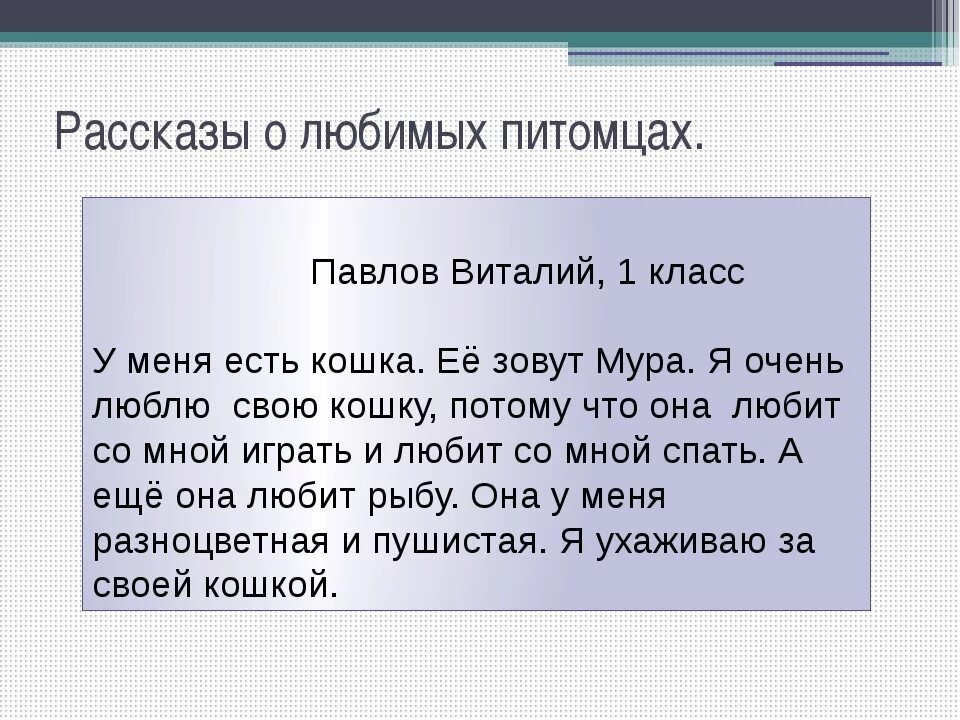 Сочинение мой кот 5 класс. Рассказ о своём питамче. Рассказ о своём пиомце. Рассказ о любимом питомце. Сочинение про домашнеготпитомца.