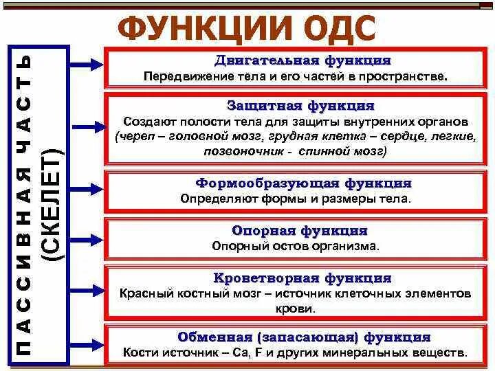 Система передвижения функции. Система передвижения функции
