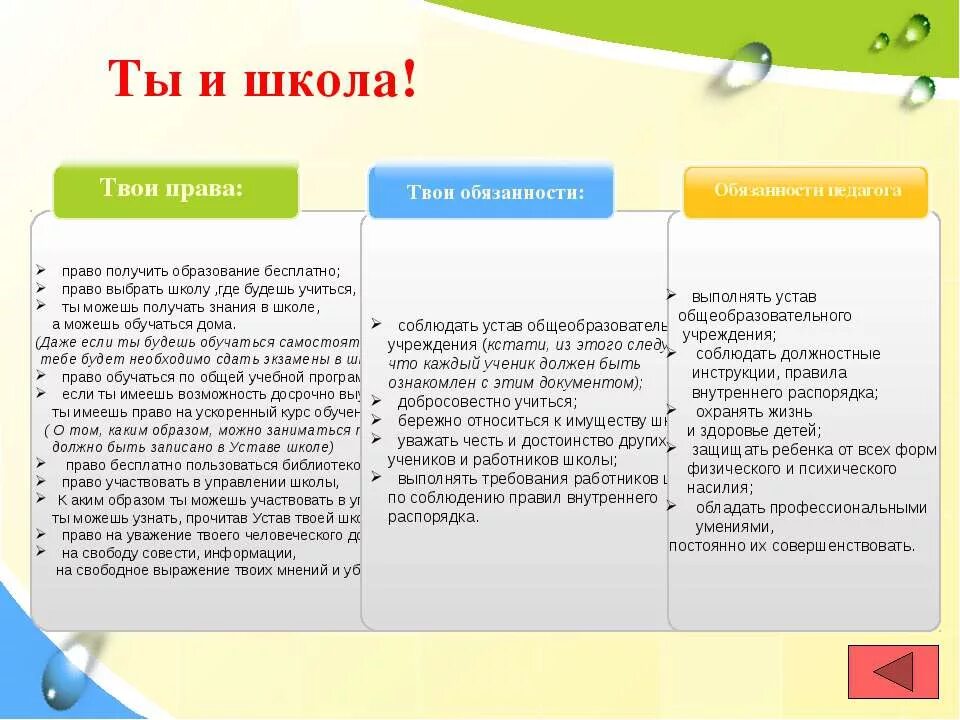 Правила твоей жизни 4 класс. День правовых знаний презентация.