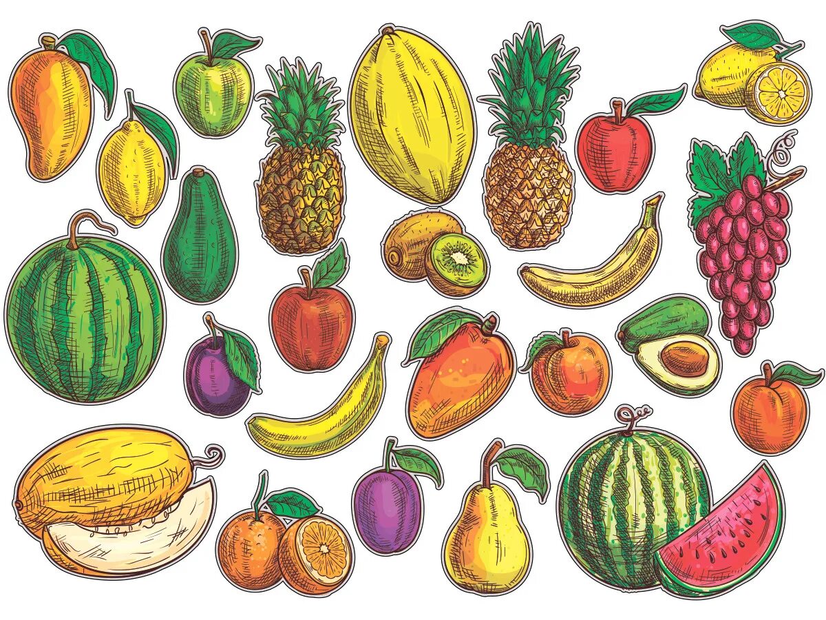 25 фруктов. Рисунки фруктов. Набор наклеек "фрукты". Драгон фрукт картинки карандашом. Наклейки на фруктах Турция.