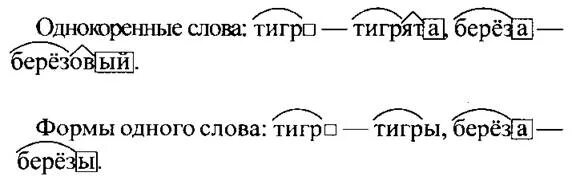 Однокоренные слова упражнения. Корень в слове тигр. Корень в слове тигр. Однокоренные слова к слову тигр. Однокоренные слова к слову тигр.