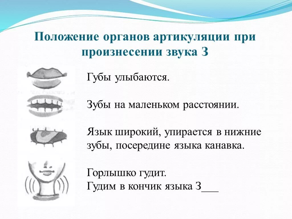 Положение органов артикуляции при произнесении звука с. Положение языка при произнесении звука с. Положение языка при звуке з. Правильная артикуляция звука з. З артикуляция