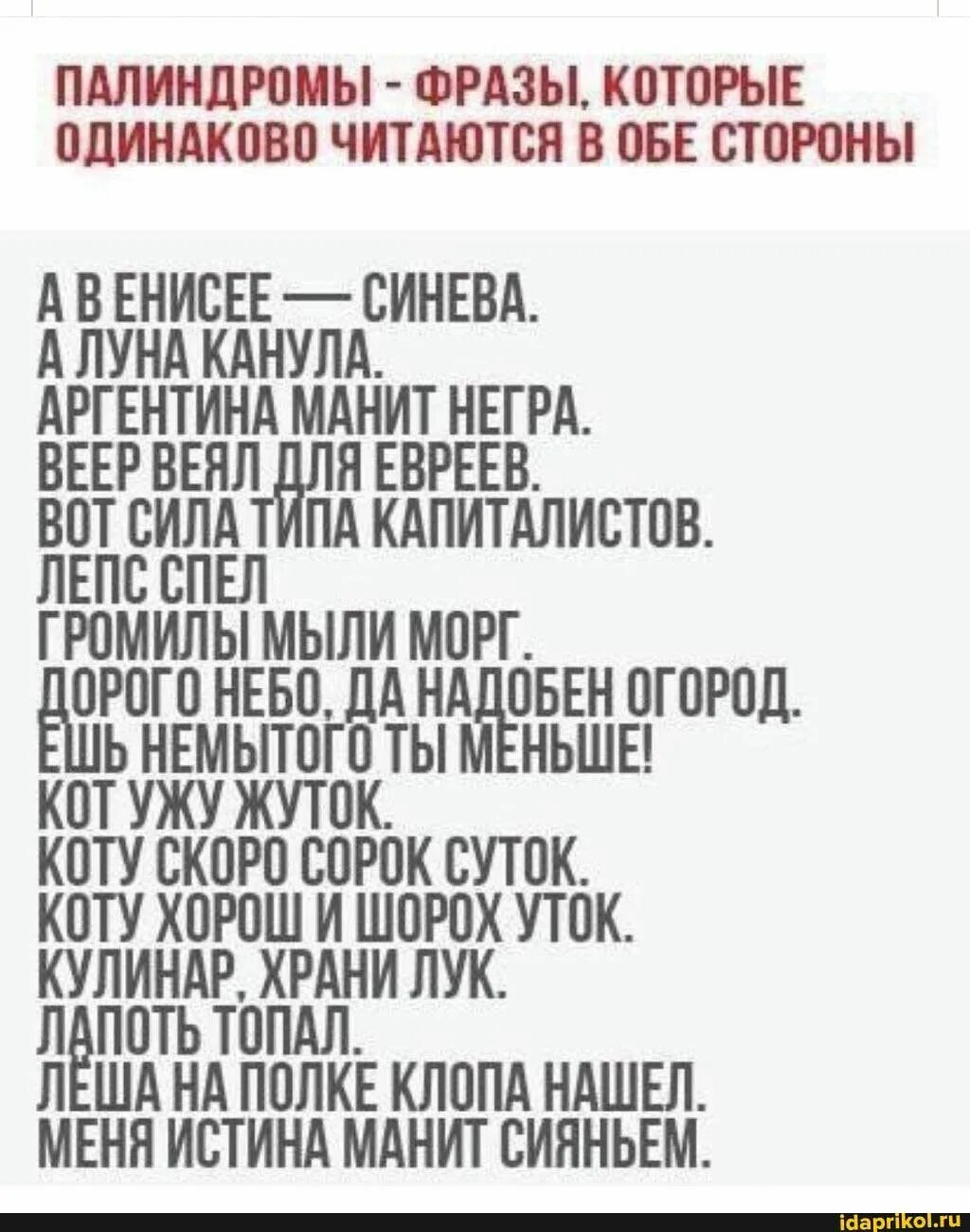 Слова которые читаются. Слова которые читаются слева направо и справа налево. Предложения палиндромы. Палиндромы в русском языке примеры. Слова туда и обратно читаются одинаково.