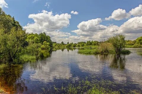 Левый приток москвы реки