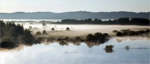 За пеленою грез
